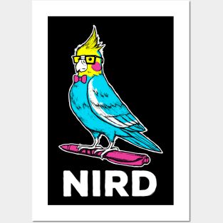 NIRD Posters and Art